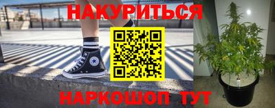 ECSTASY Новодвинск