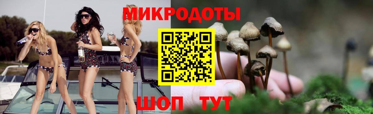 Псилоцибиновые грибы прущие грибы Сунжа