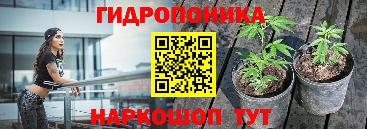 Бошки марихуана индика Сунжа